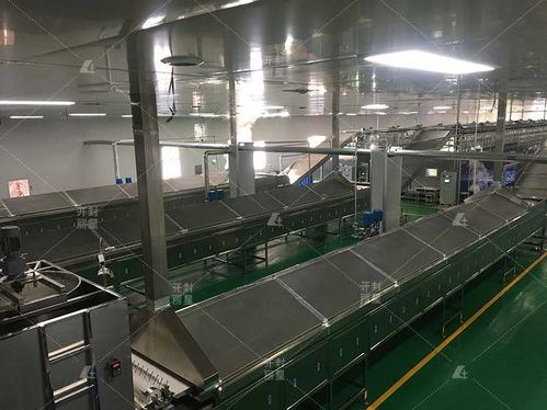 開辦紅薯粉條廠時怎么挑選適合的粉條加工設備