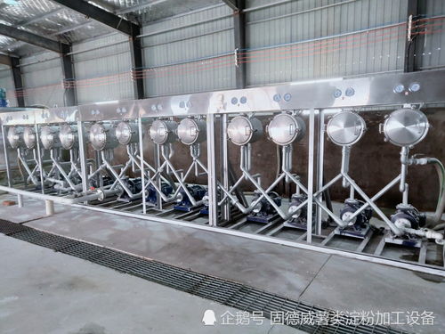 成立紅薯淀粉加工廠的必要因素有3點,能源 資源和淀粉加工設備技術