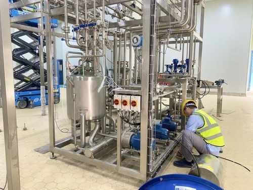 預計今年底達產產值1.8億元 華東最大奶酪加工工廠建成