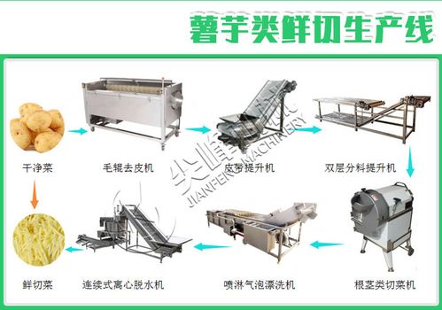 根莖類(lèi)鮮切凈菜加工設(shè)備